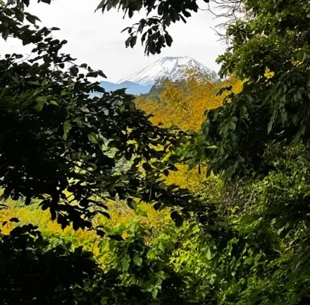 Mount Fuji ~ A Glimpse - Photograph