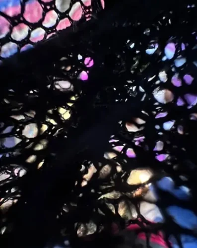 Net window - Photograph