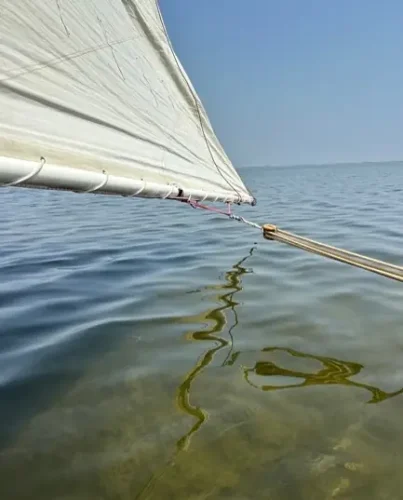 Sail Away - Photograph