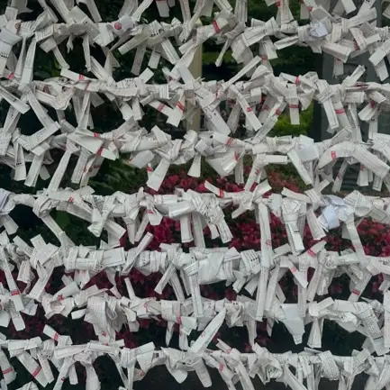 Votives - Photograph