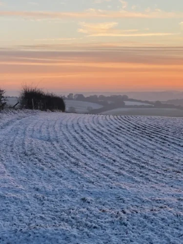 Winter's Dusk