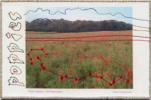 Field Poppies Postcard - creations